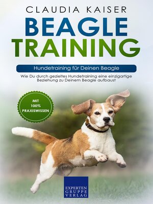 cover image of Beagle Training – Hundetraining für Deinen Beagle